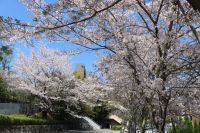 追手門学院大学(茨木安威キャンパス)｜西安威１丁目1